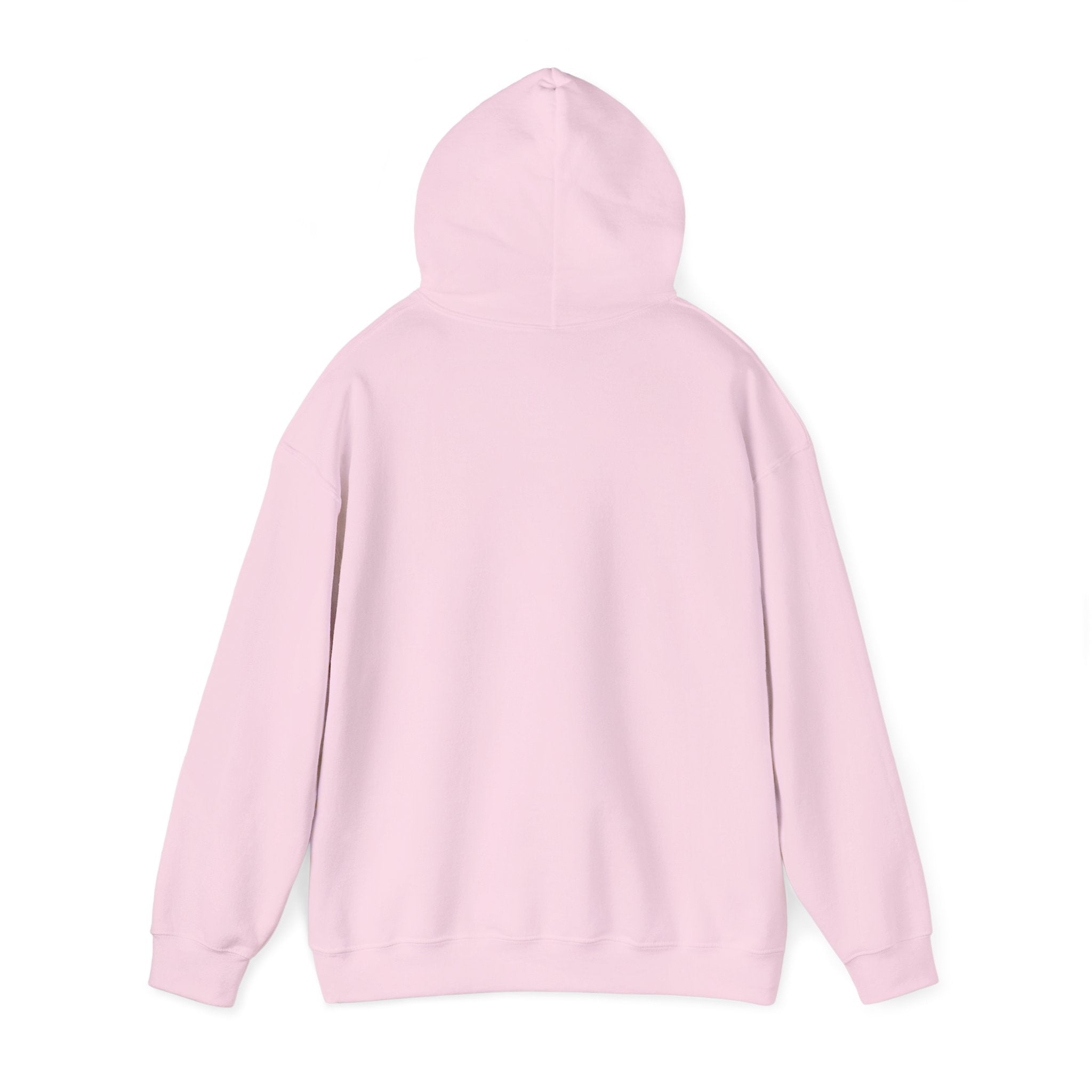 You Found a Gem Hoodie