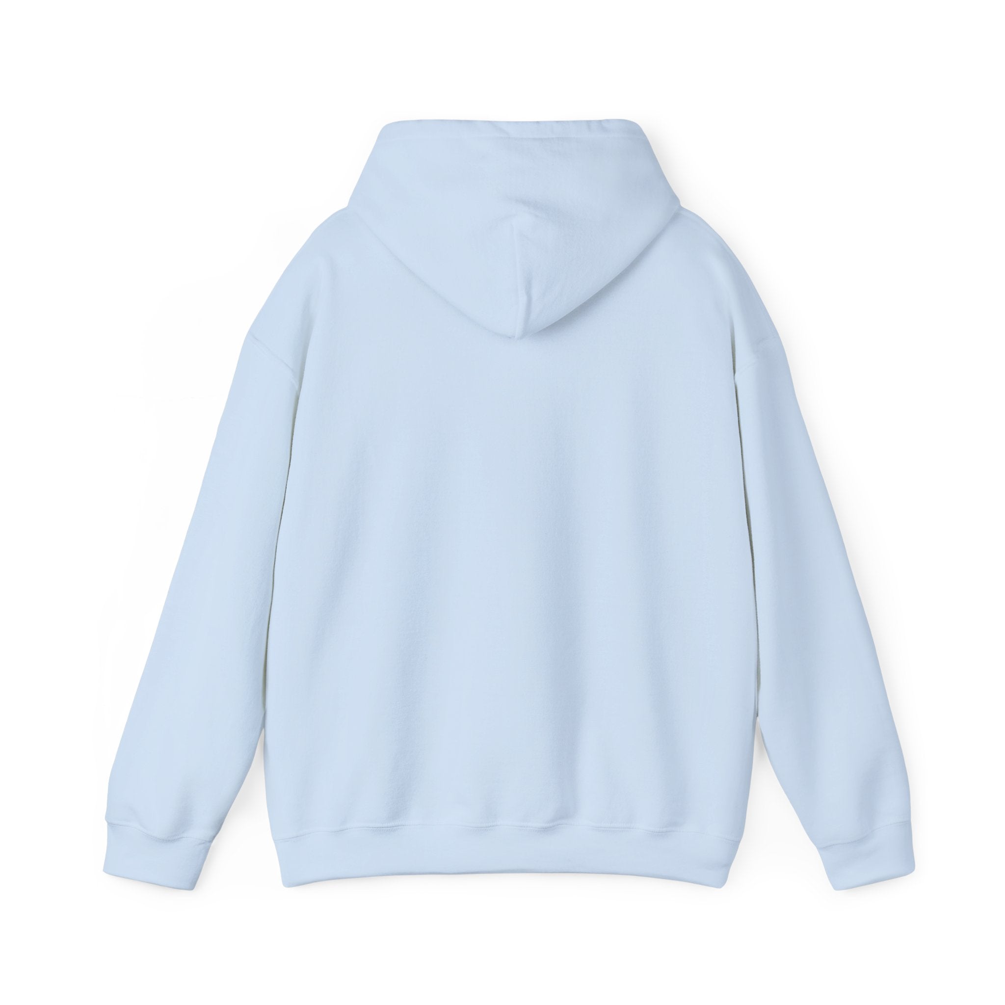 Sonion Meme Hoodie