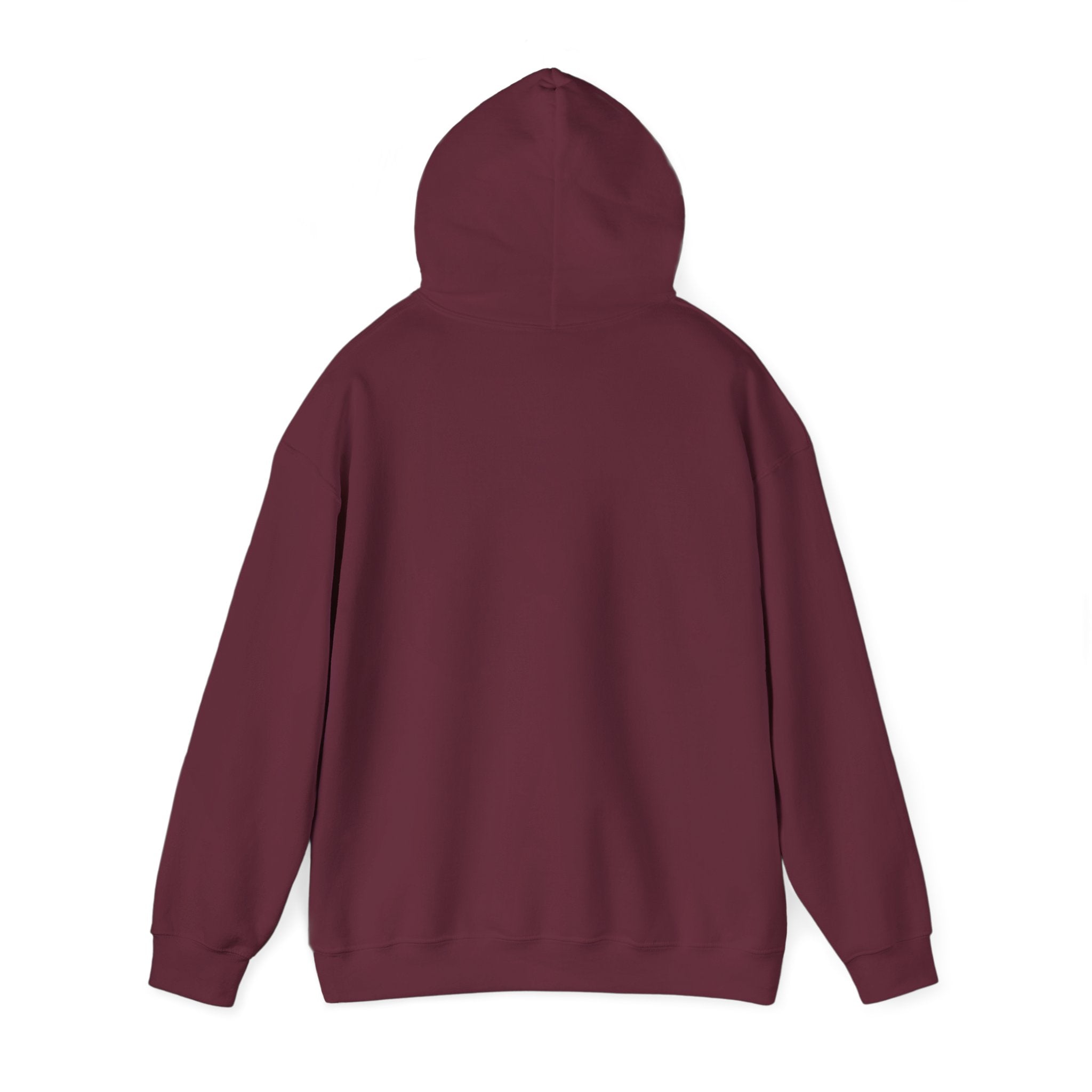I’m Just a Princess Hoodie