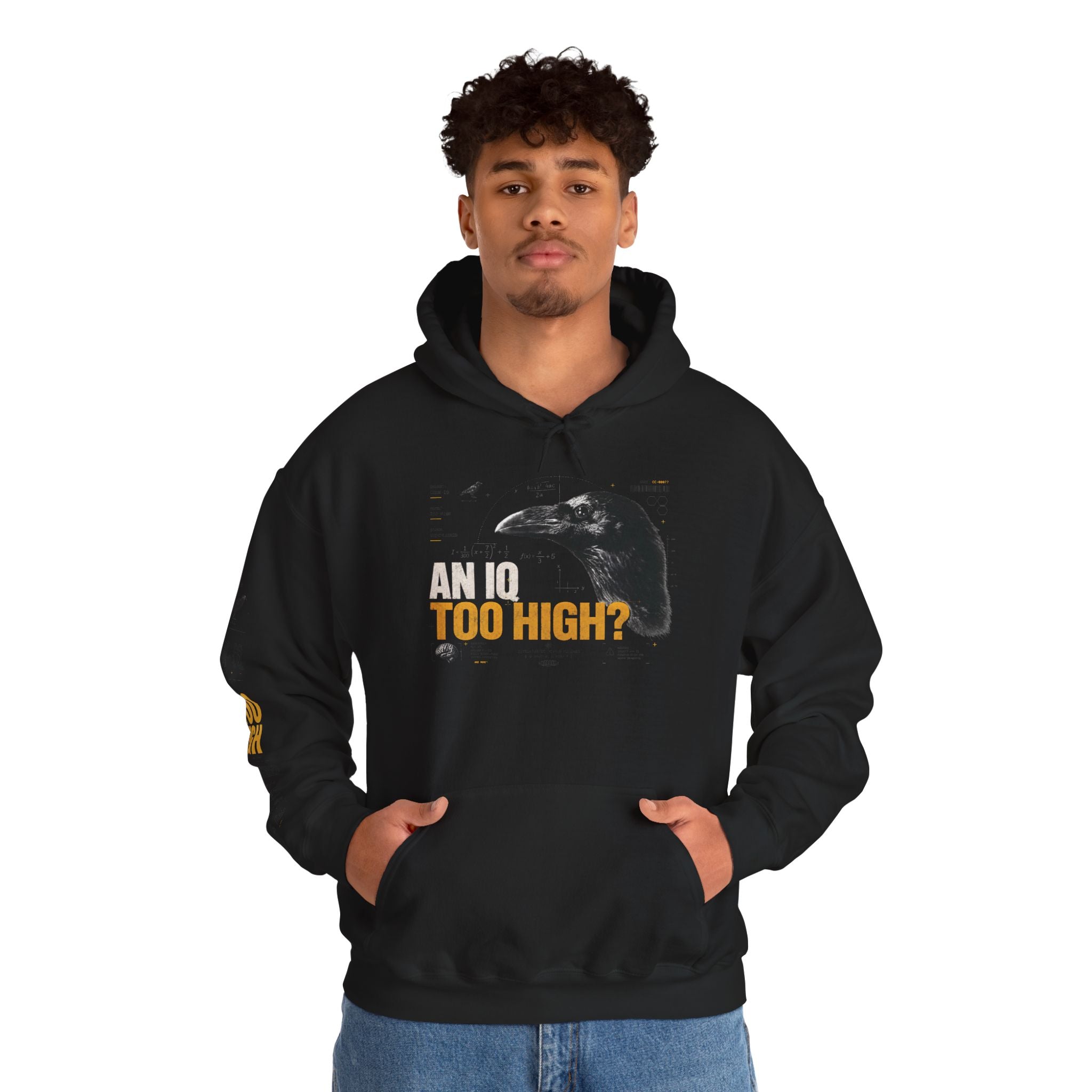 AN IQ TOO HIGH? Crow IQ Graphic Hoodie