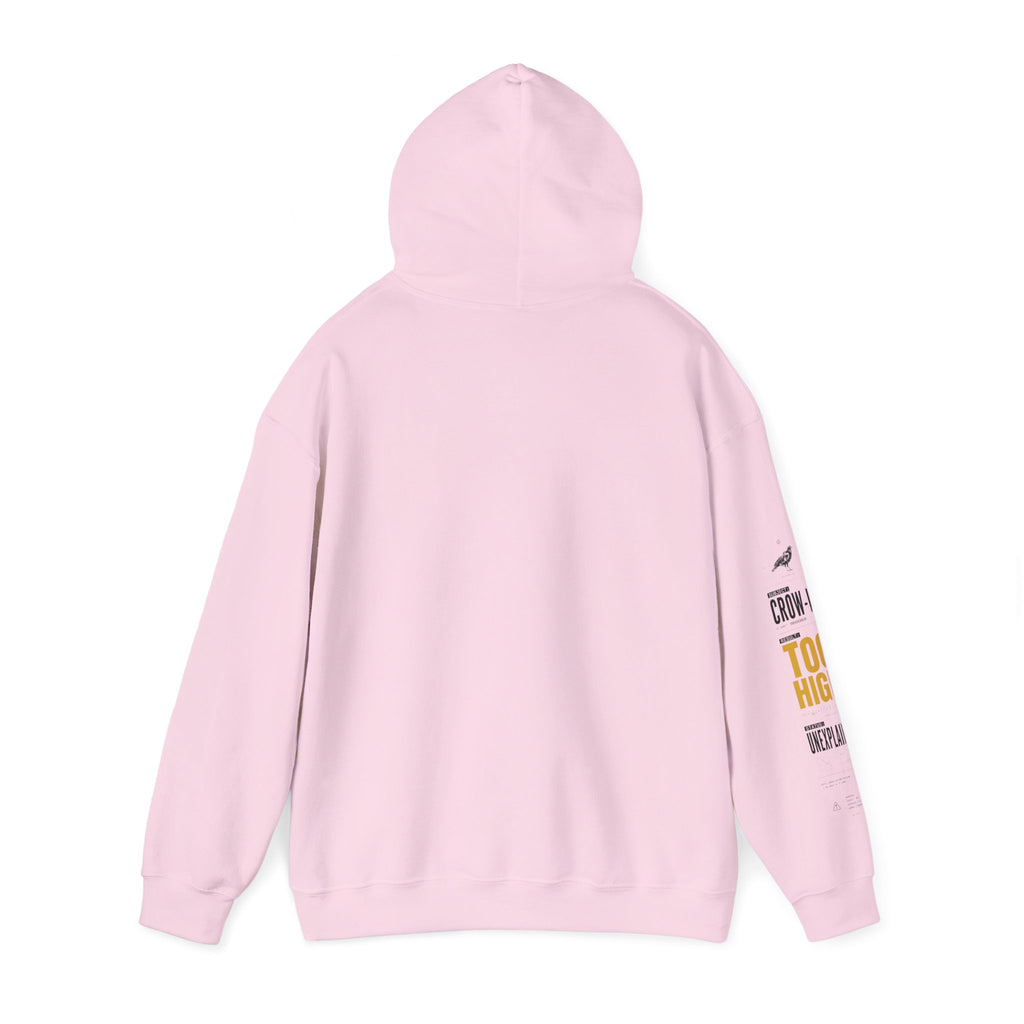 AN IQ TOO HIGH? Crow IQ Graphic Hoodie