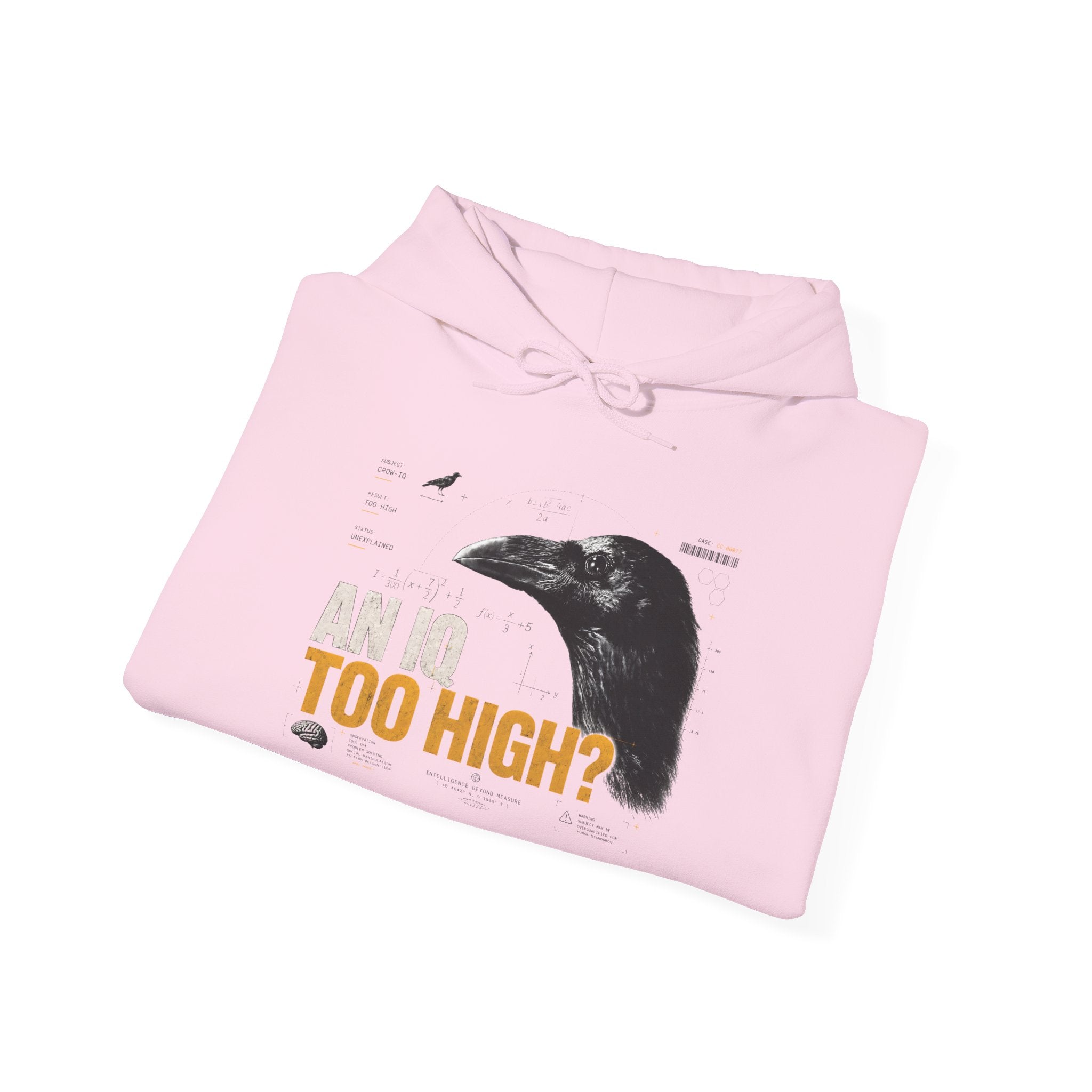 AN IQ TOO HIGH? Crow IQ Graphic Hoodie