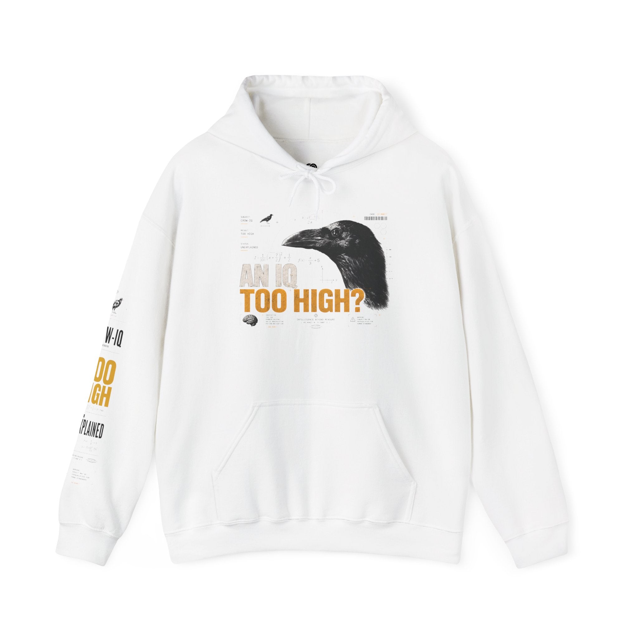 AN IQ TOO HIGH? Crow IQ Graphic Hoodie