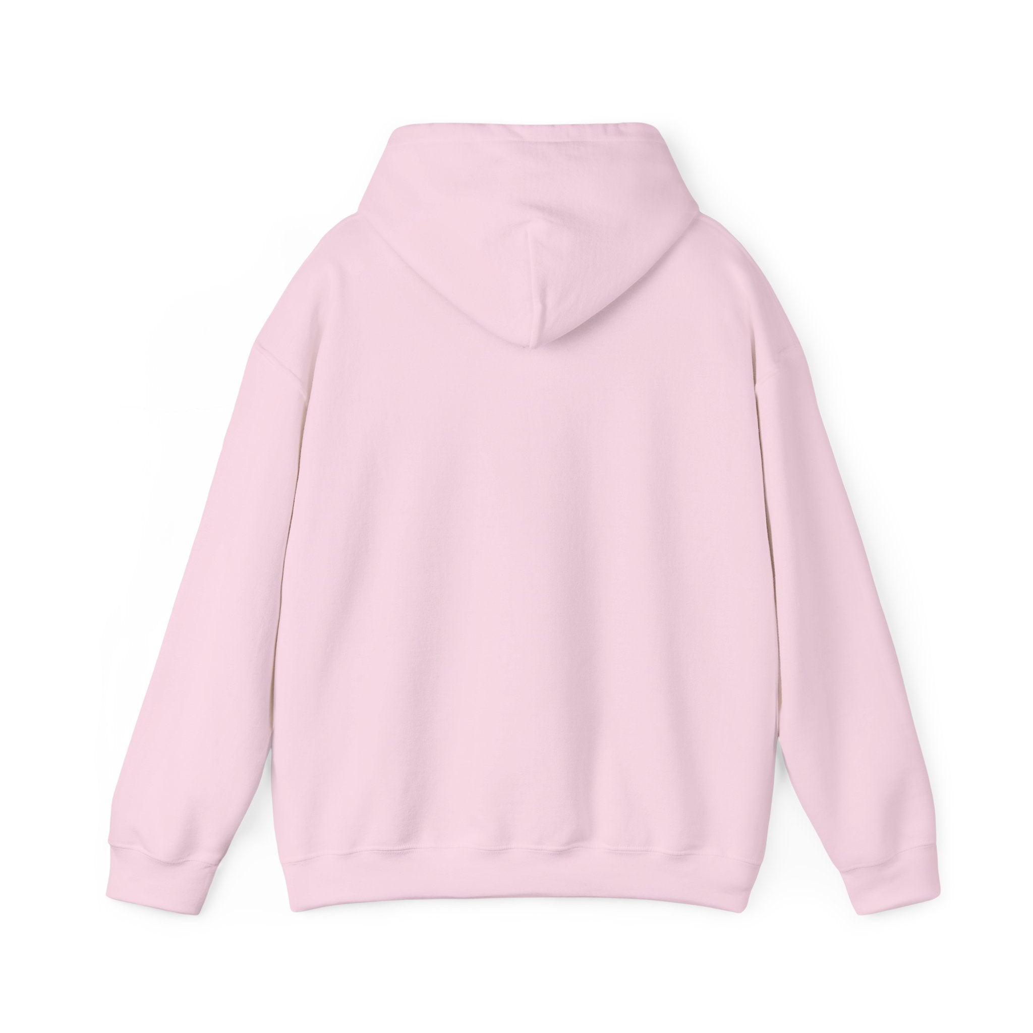 You Found a Gem Hoodie