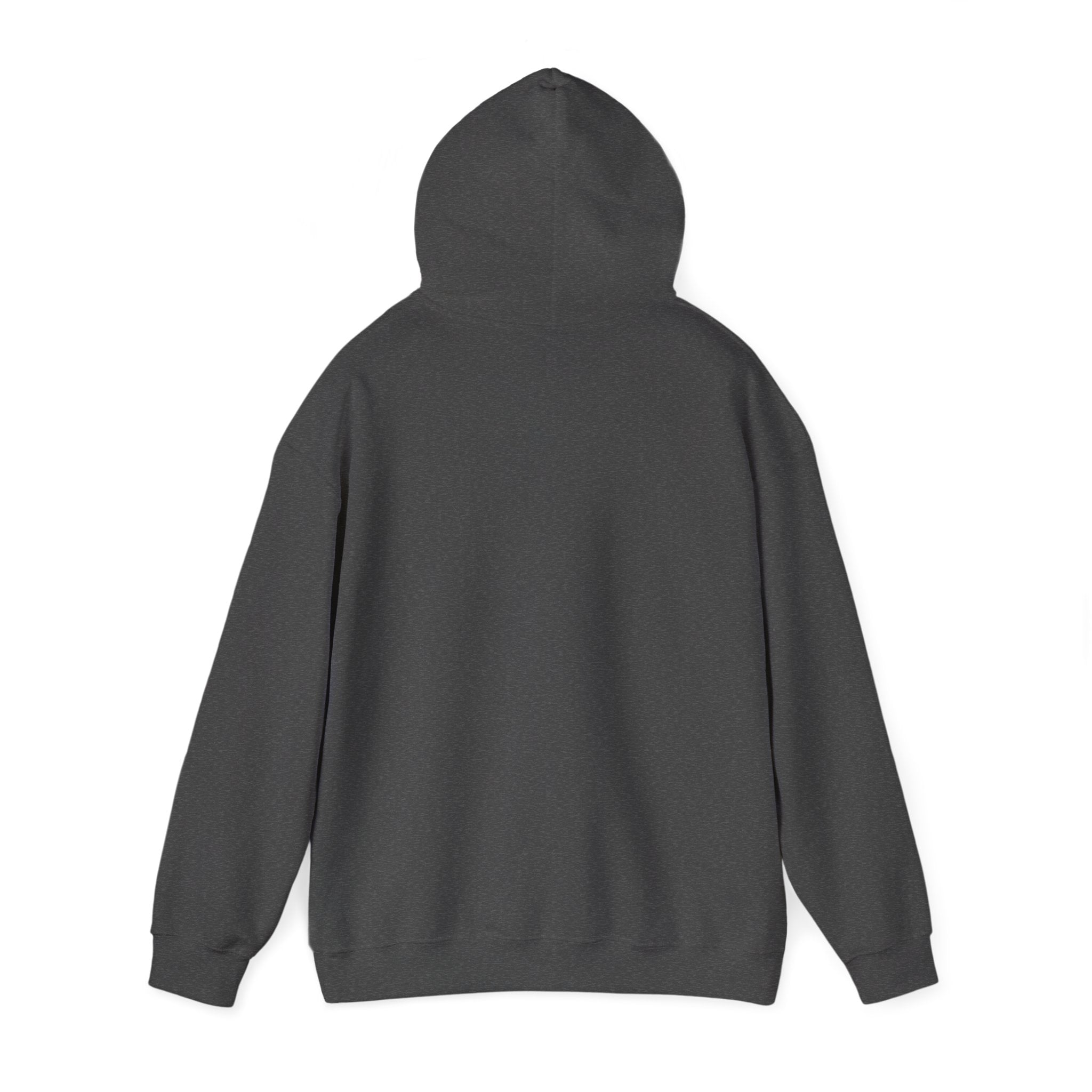 I’m Just a Princess Hoodie