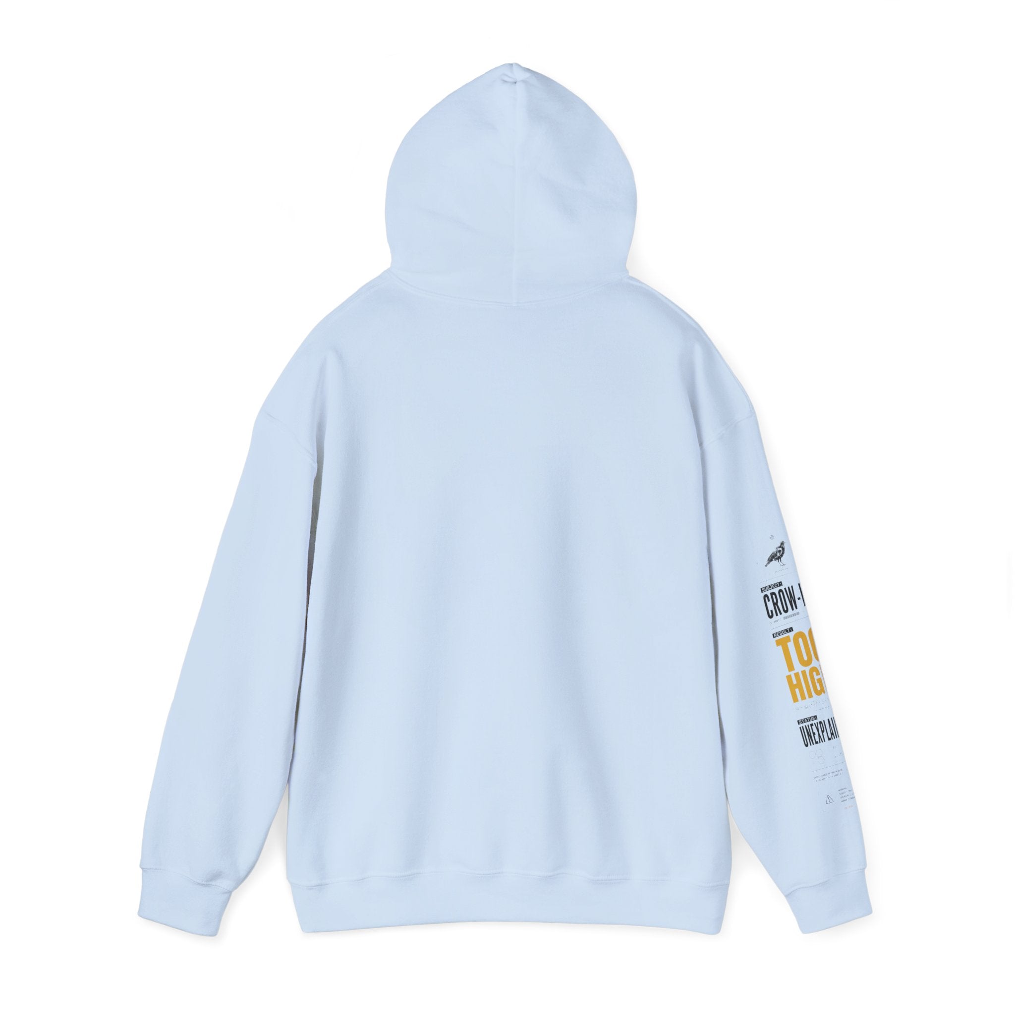 AN IQ TOO HIGH? Crow IQ Graphic Hoodie