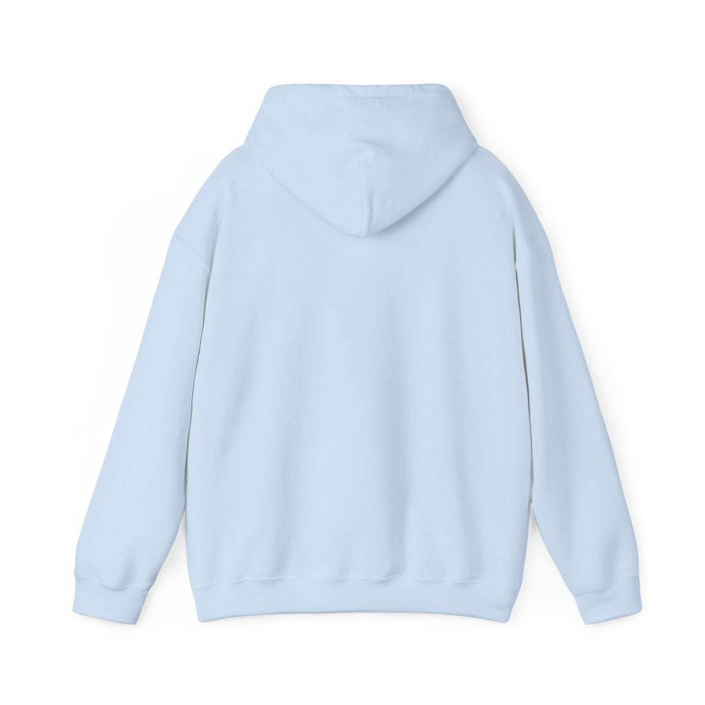 You Found a Gem Hoodie