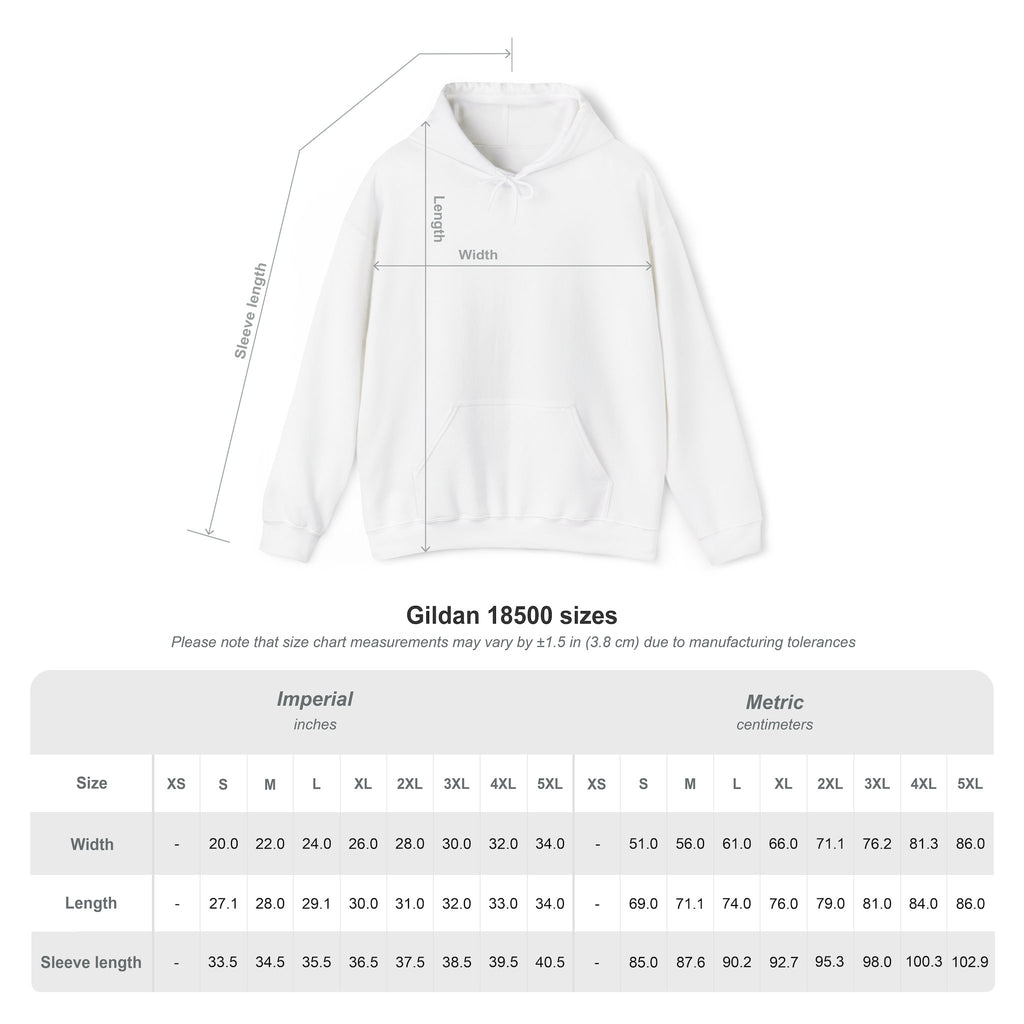 Sonion Meme Hoodie
