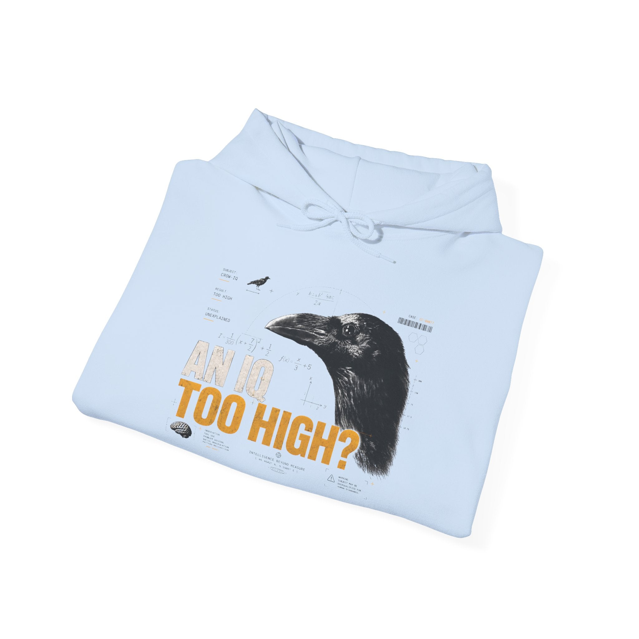 AN IQ TOO HIGH? Crow IQ Graphic Hoodie