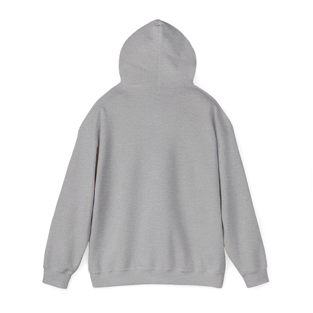 I’m Just a Princess Hoodie