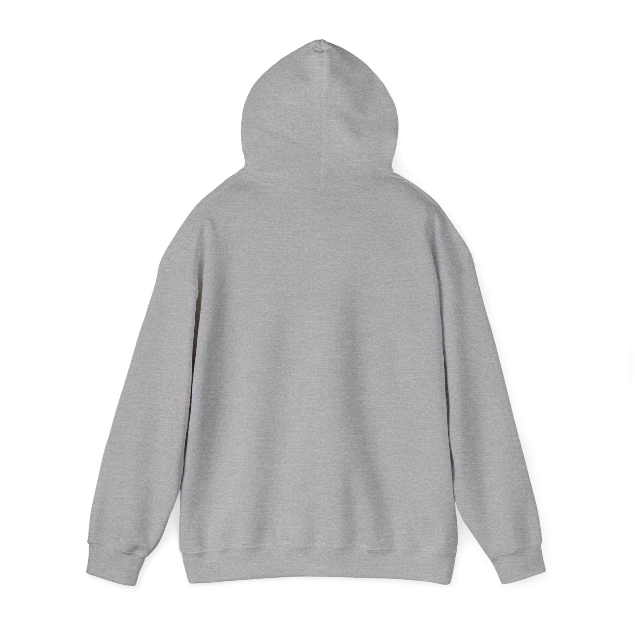 I’m Just a Princess Hoodie