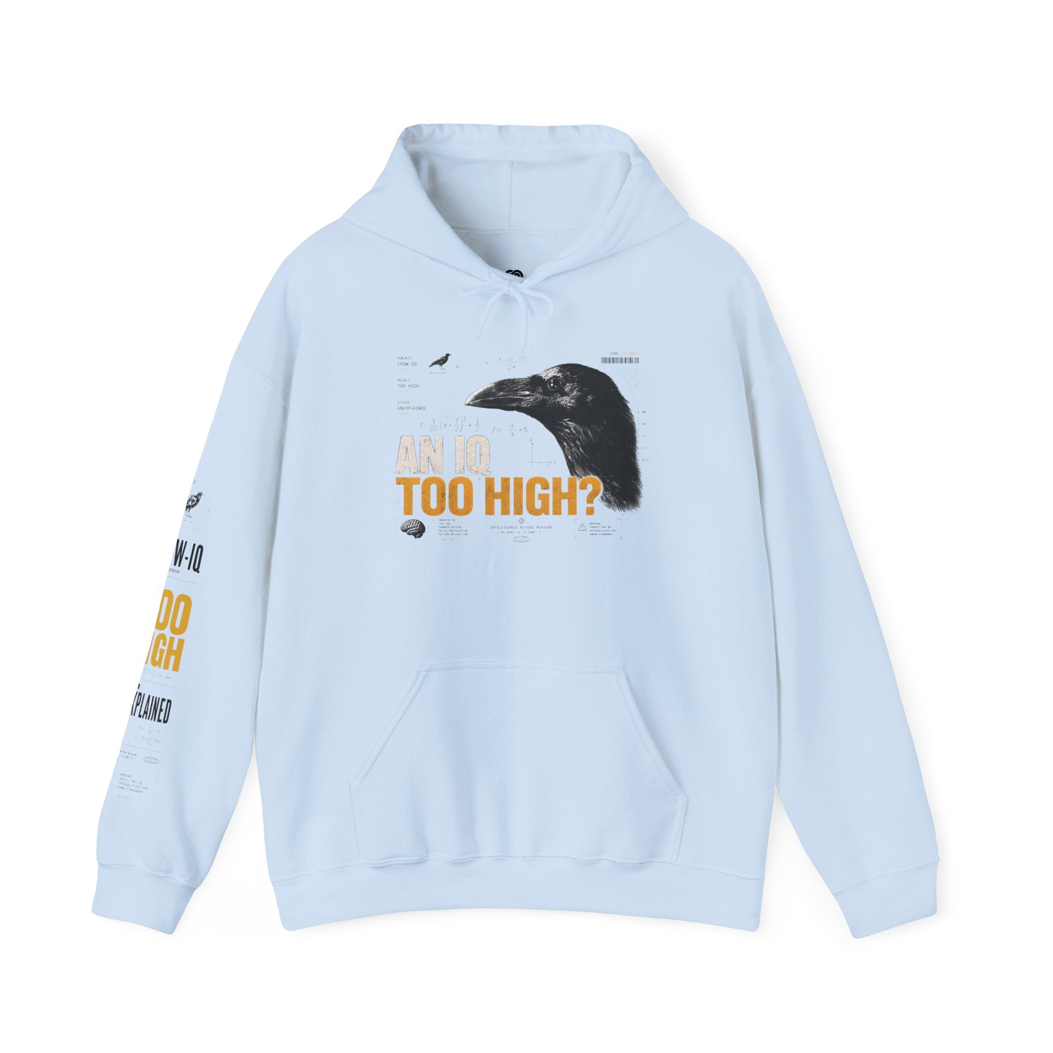 AN IQ TOO HIGH? Crow IQ Graphic Hoodie