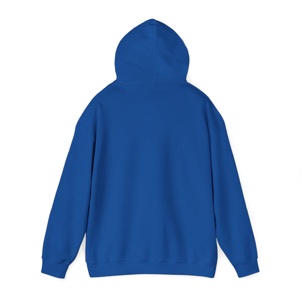 You Found a Gem Hoodie
