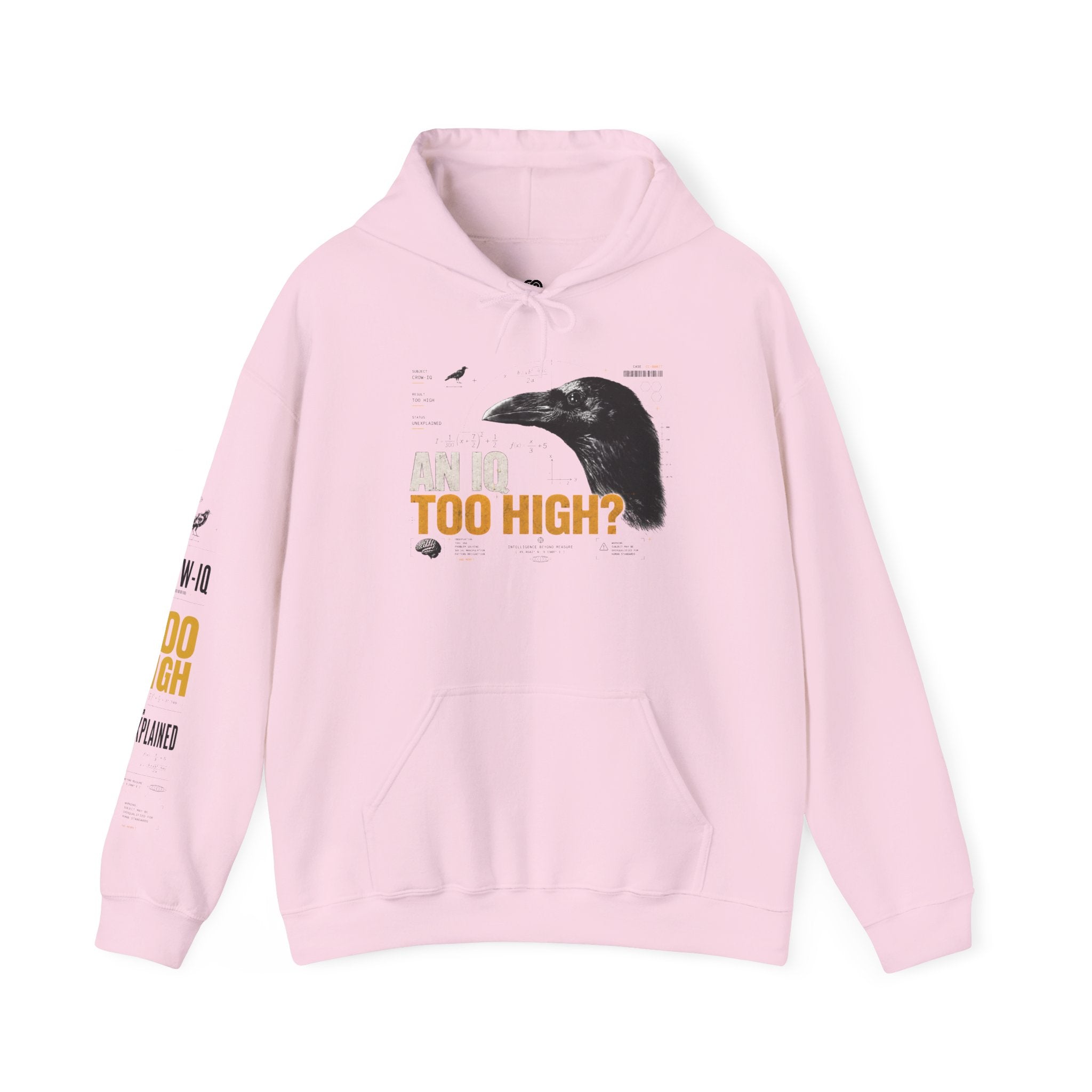 AN IQ TOO HIGH? Crow IQ Graphic Hoodie